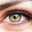 EMDR