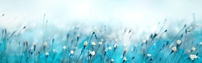 Serene Solutions